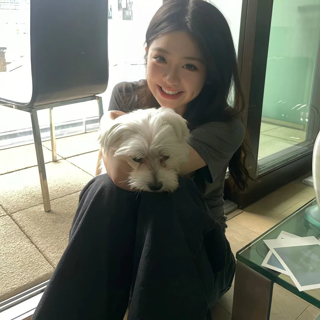 梦见狮子